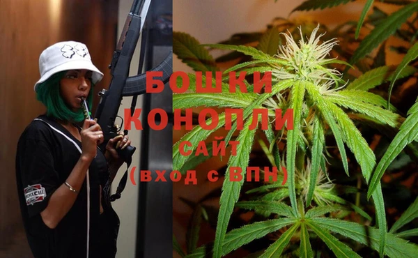 мяу мяу мука Бородино