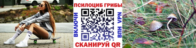 даркнет официальный сайт  купить наркотик  Будённовск  Галлюциногенные грибы Psilocybine cubensis 